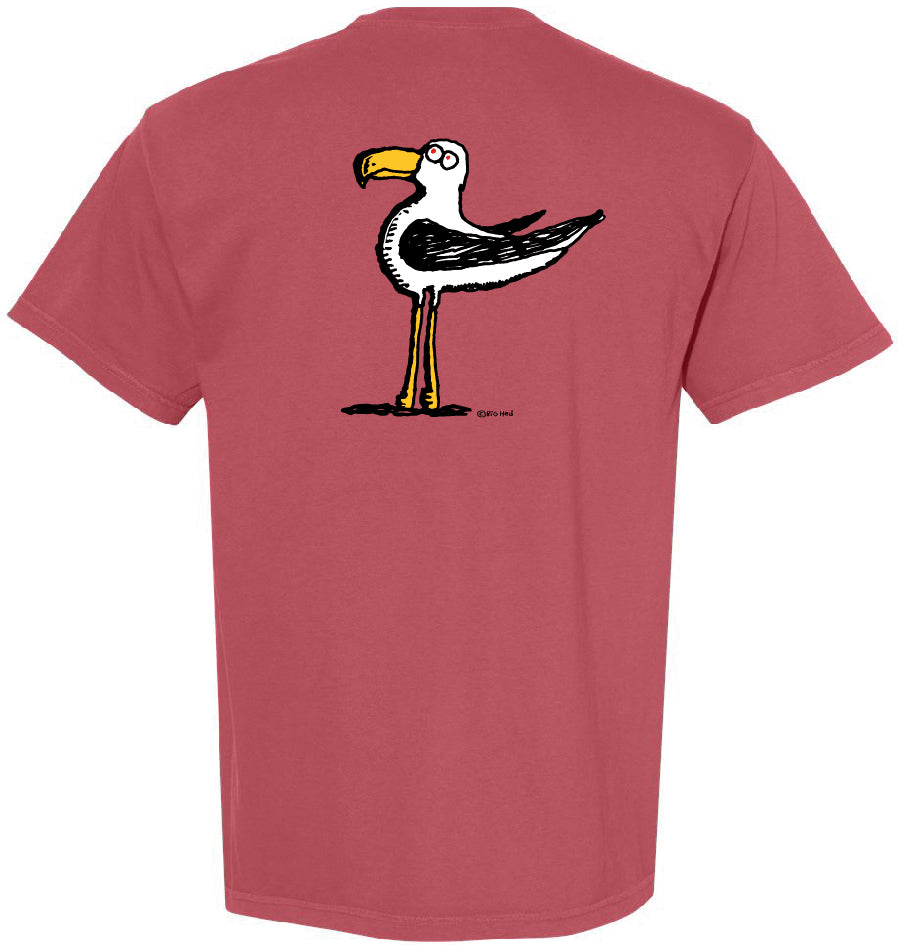 Gull